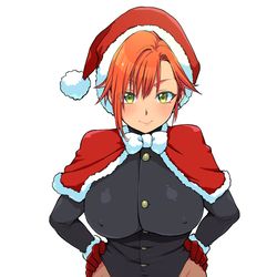 This is a pixiv picture whose title is 学ランサンタ.