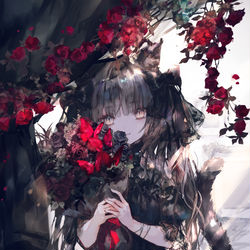 This is a pixiv picture whose title is 黒猫.