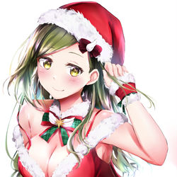 This is a pixiv picture whose title is サンタコスはづきさん.