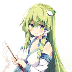 This is a pixiv picture whose title is 綺麗な早苗さん.