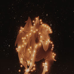 This is a pixiv picture whose title is silent nigth.