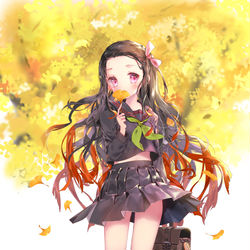 This is a pixiv picture whose title is 禰豆子.