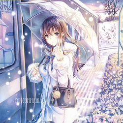 This is a pixiv picture whose title is 師走の鉄道　(アナログ).