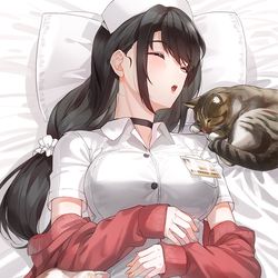 This is a pixiv picture whose title is 🐱😴.
