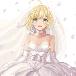This is a pixiv picture whose title is アルトリア.