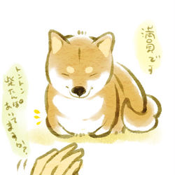 This is a pixiv picture whose title is 柴漬けと日々の徒然.