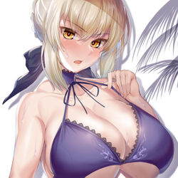 This is a pixiv picture whose title is Twitterセイバー詰め #01.