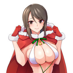 This is a pixiv picture whose title is ミカサンタ.