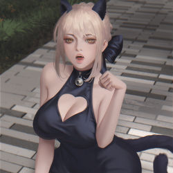 This is a pixiv picture whose title is saber alter cat.