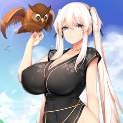 This is a pixiv picture whose title is 娜歐.