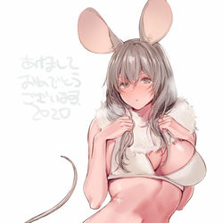 This is a pixiv picture whose title is あけおめ2020.