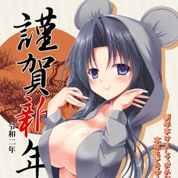 This is a pixiv picture whose title is あけめして.