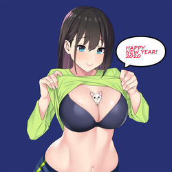 This is a pixiv picture whose title is あけおめ.