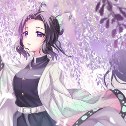 This is a pixiv picture whose title is 胡蝶しのぶ.
