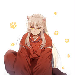 This is a pixiv picture whose title is 犬夜叉.