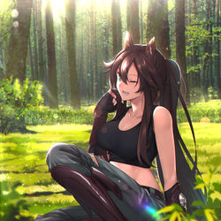 This is a pixiv picture whose title is Meteor.