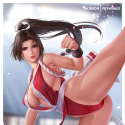 This is a pixiv picture whose title is Mai Shiranui.