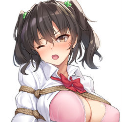 This is a pixiv picture whose title is 緊縛.