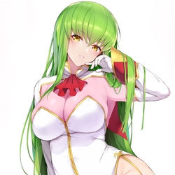 This is a pixiv picture whose title is C.C..