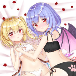 This is a pixiv picture whose title is 猫ランジェリーなスカーレット姉妹.