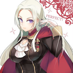 This is a pixiv picture whose title is 高貴なエーデルガルド.