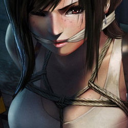 This is a pixiv picture whose title is 【販売開始】写真集『罠に堕ちた格闘家』.