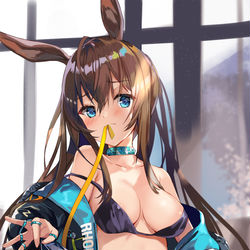 This is a pixiv picture whose title is アークナイツ_アーミヤ.