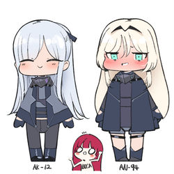 This is a pixiv picture whose title is AK12 & AN94.