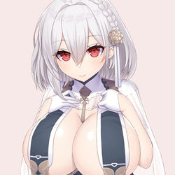This is a pixiv picture whose title is シリアス（春節スキン）.