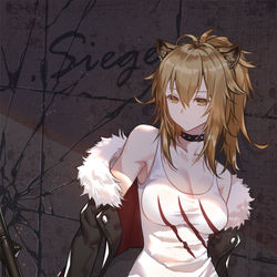 This is a pixiv picture whose title is シージ.