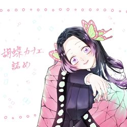 This is a pixiv picture whose title is 胡蝶カナエ.