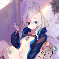 This is a pixiv picture whose title is 小賢しい捨て猫.