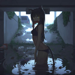 This is a pixiv picture whose title is さかな.