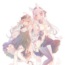 This is a pixiv picture whose title is G11 & HK416.