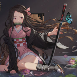 This is a pixiv picture whose title is Nezuko.