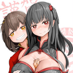 This is a pixiv picture whose title is 謹賀新年.