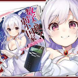 This is a pixiv picture whose title is コミカライズ版「数字で救う！弱小国家」1巻.