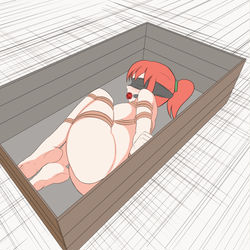 This is a pixiv picture whose title is Shina in the Box.