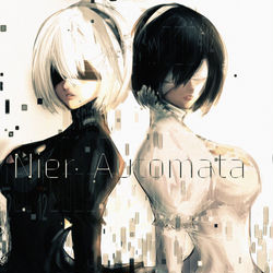 This is a pixiv picture whose title is 2B＆2P.