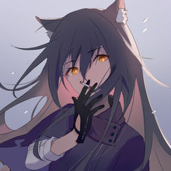 This is a pixiv picture whose title is Texas.