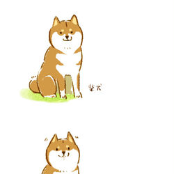 This is a pixiv picture whose title is 期待が外れた時の柴犬さんの反応.