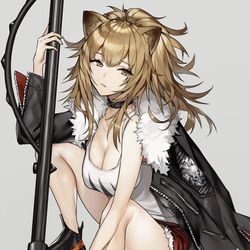 This is a pixiv picture whose title is Siege.
