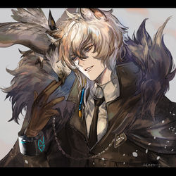 This is a pixiv picture whose title is 銀灰色の栄光.