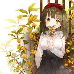 This is a pixiv picture whose title is ✿✿✿.