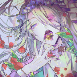 This is a pixiv picture whose title is アマデウス誕.