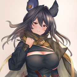 This is a pixiv picture whose title is イルザ.