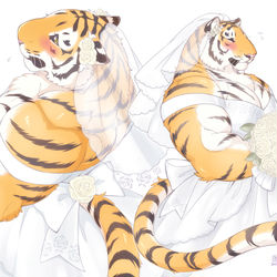 This is a pixiv picture whose title is 虎の雄嫁さん＋落書き詰め.