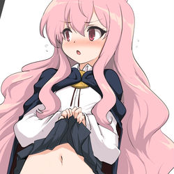 This is a pixiv picture whose title is ルイズちゅわ.
