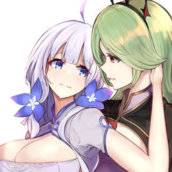This is a pixiv picture whose title is 美しきシニョリーナ.