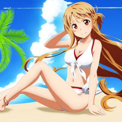 This is a pixiv picture whose title is Sword Art Onine 73.
